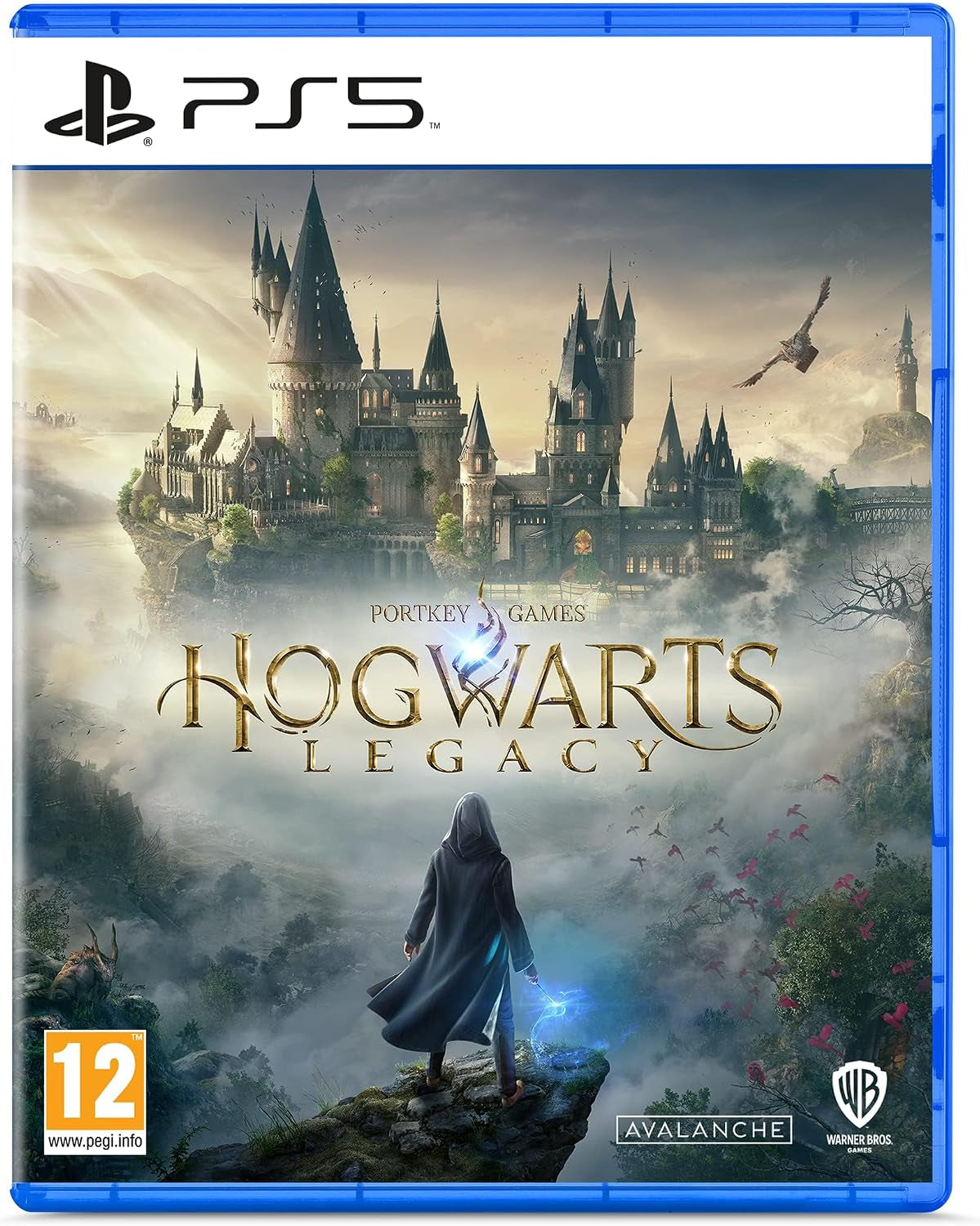 Hogwarts Legacy /PS5